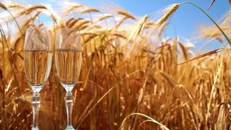 Зерновые культуры